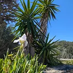 Villa A Macchia, Piscine Et Vue Sur