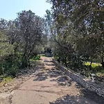 A Macchia, Piscine Et Vue Sur Villa *
