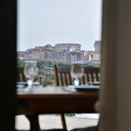 A Macchia, Piscine Et Vue Sur Bonifacio (Corsica)