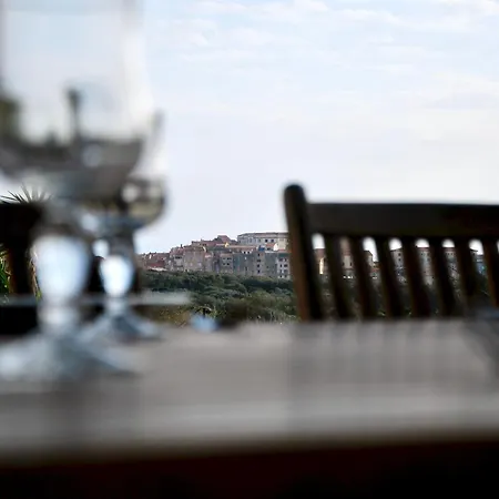 A Macchia, Piscine Et Vue Sur Bonifacio (Corsica)