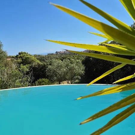 A Macchia, Piscine Et Vue Sur
