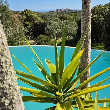 A Macchia, Piscine Et Vue Sur Willa *